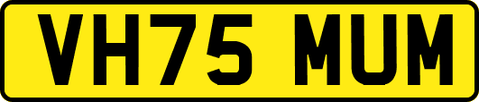VH75MUM