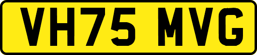 VH75MVG