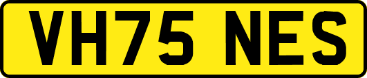 VH75NES