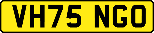 VH75NGO