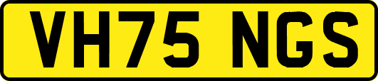 VH75NGS