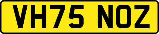 VH75NOZ