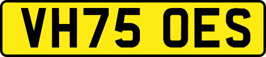 VH75OES