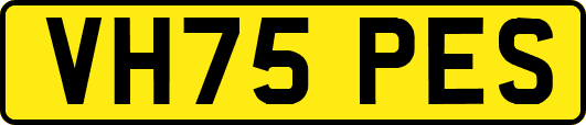 VH75PES