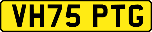 VH75PTG