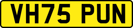 VH75PUN
