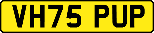 VH75PUP