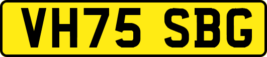 VH75SBG