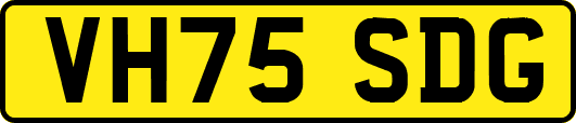 VH75SDG