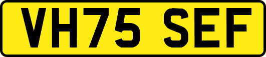 VH75SEF