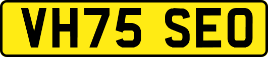 VH75SEO