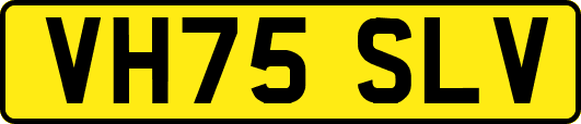 VH75SLV