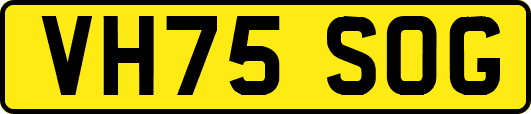 VH75SOG