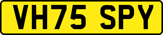 VH75SPY