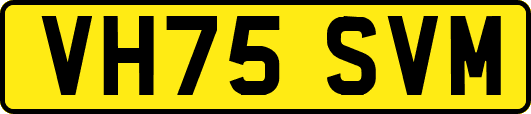 VH75SVM