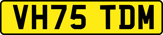 VH75TDM
