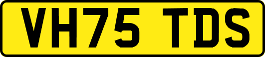 VH75TDS