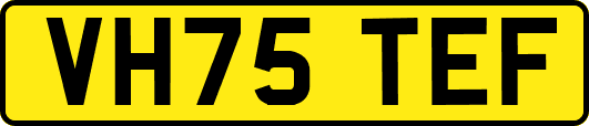 VH75TEF