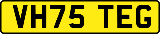 VH75TEG