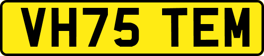 VH75TEM