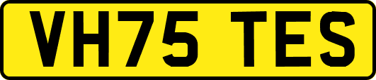 VH75TES