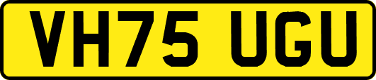 VH75UGU
