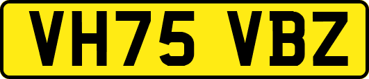 VH75VBZ