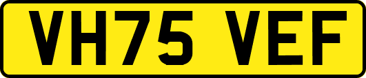 VH75VEF