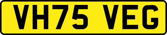 VH75VEG