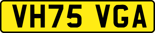VH75VGA