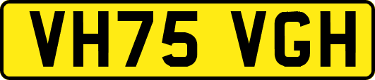 VH75VGH