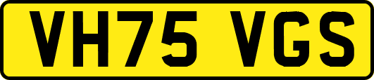 VH75VGS