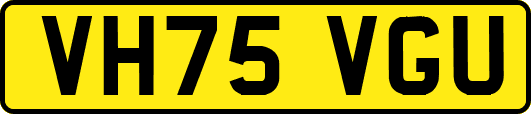 VH75VGU