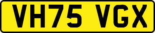 VH75VGX