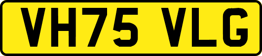 VH75VLG