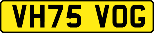 VH75VOG