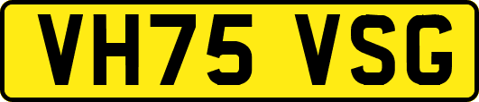 VH75VSG
