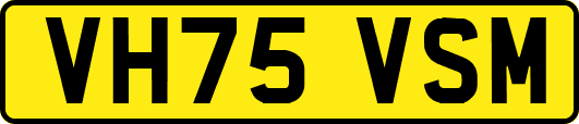 VH75VSM