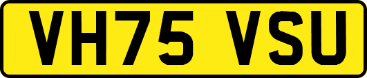 VH75VSU
