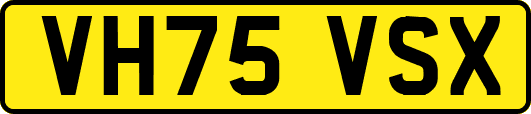 VH75VSX