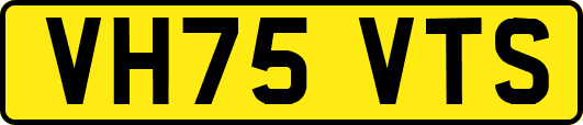 VH75VTS
