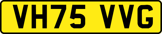 VH75VVG