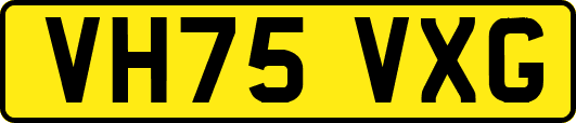 VH75VXG