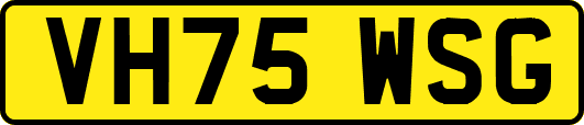 VH75WSG