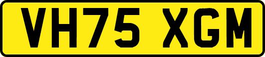 VH75XGM