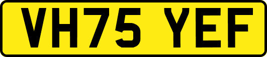 VH75YEF