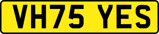VH75YES