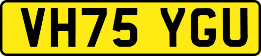 VH75YGU