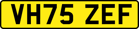 VH75ZEF