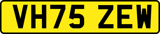 VH75ZEW